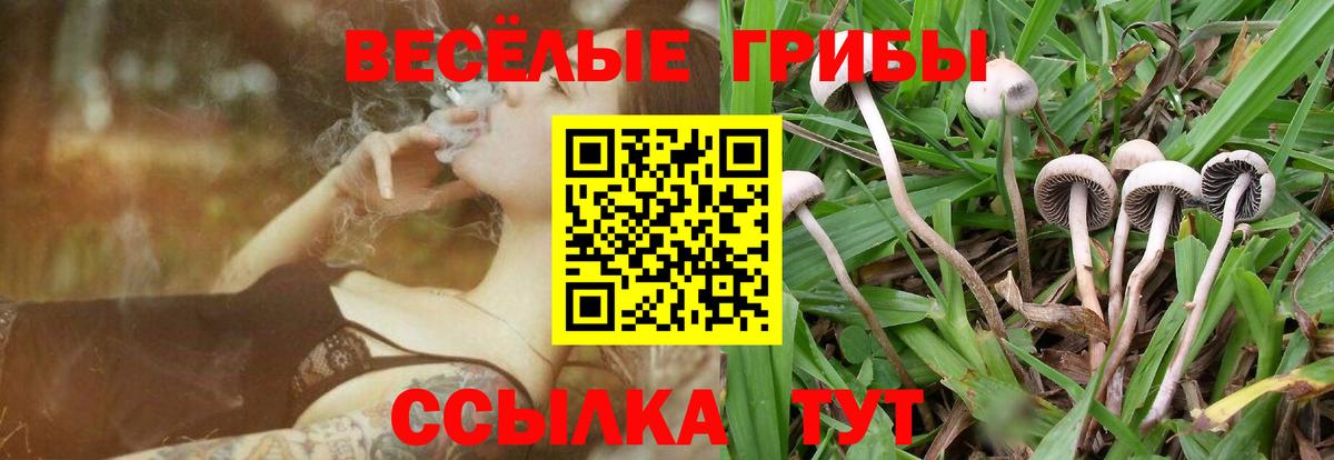 Псилоцибиновые грибы мицелий  Вход с VPN  Чапаевск  Галлюциногенные грибы MAGIC MUSHROOMS 